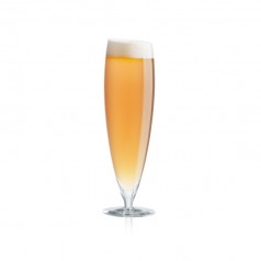 Eva Solo Large Beer Glass angular rim (0.5L) (Set of 2)